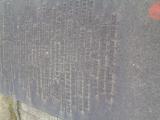 image of grave number 956632